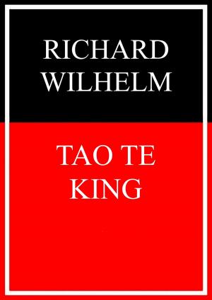 Cover of the book Tao Te King by Bernd Kofler