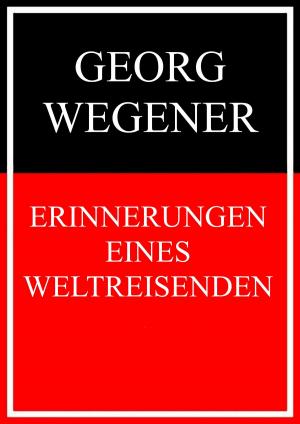Cover of the book Erinnerungen eines Weltreisenden by Ron Cole-Turner