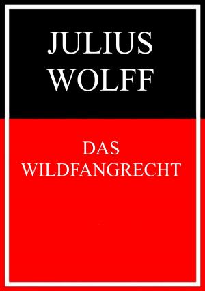Cover of the book Das Wildfangrecht by fotolulu