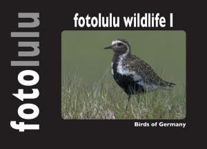 Book cover of fotolulu wildlife I