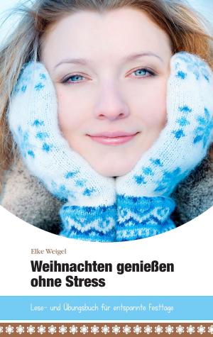 Cover of the book Weihnachten genießen ohne Stress by Jörg Becker