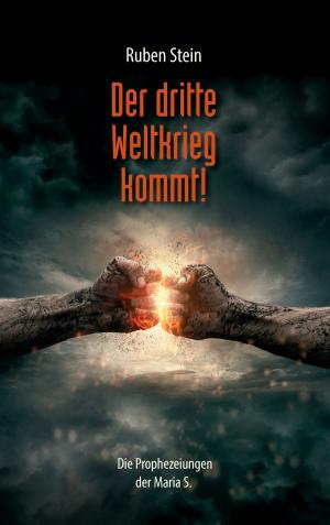 Cover of the book Der dritte Weltkrieg kommt! by Reinhart Brandau