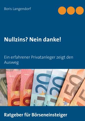 Cover of the book Nullzins nein danke by Wiebke Hilgers-Weber