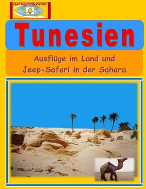 Cover of the book Tunesien by Torsten Hauschild