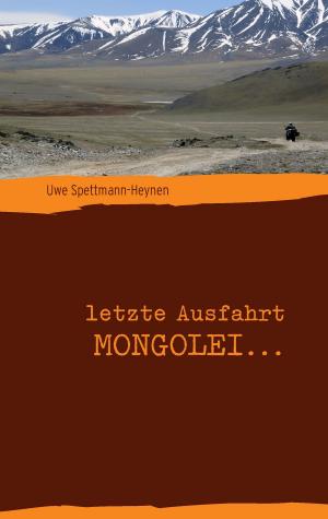 Cover of the book letzte Ausfahrt Mongolei ... by F.H. Achermann