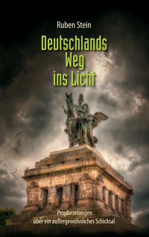 Book cover of Deutschlands Weg ins Licht