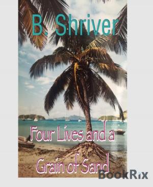 Cover of the book Four Lives and a Grain of Sand by Antje Ippensen