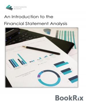 Cover of the book An Introduction to the Financial Statement Analysis by Martin Barkawitz
