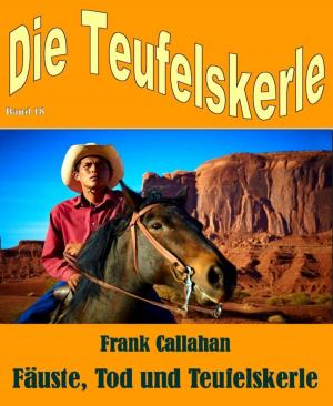 Cover of the book Fäuste, Tod und Teufelskerle by Danny Wilson
