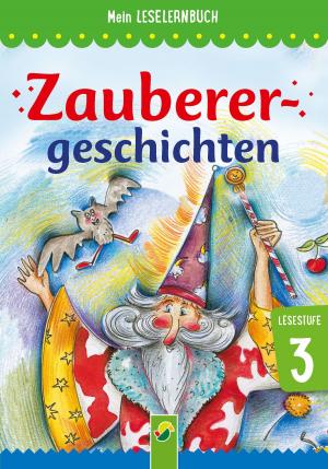 Cover of the book Zauberergeschichten by Brigitte Hoffmann, Dr. Daniela Schwarz-Wings