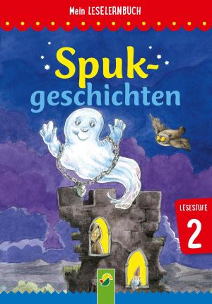 Cover of the book Spukgeschichten by Ruth Gellersen