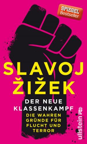 Cover of the book Der neue Klassenkampf by Michael Theurillat