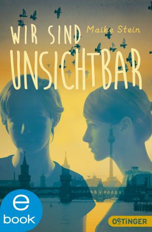 Cover of the book Wir sind unsichtbar by Johannes Groschupf, David B. Hauptmann