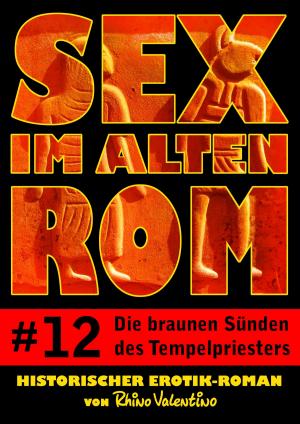 bigCover of the book Sex im alten Rom 12 - Die braunen Sünden des Tempelpriesters by 