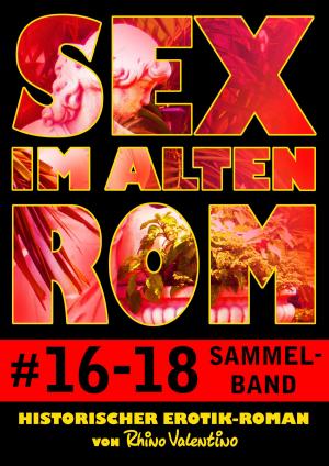 Book cover of Sex im alten Rom, Sammelband 16-18