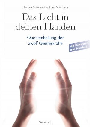 Book cover of Das Licht in Deinen Händen