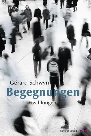 Cover of the book Begegnungen: Erzählungen by Heidi Rex
