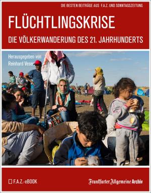 Book cover of Flüchtlingskrise