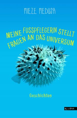 Cover of the book Meine Fußpflegerin stellt Fragen an das Universum by Peter Zimmermann