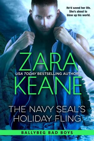 Cover of the book The Navy SEAL's Holiday Fling by Elizabeth Marx