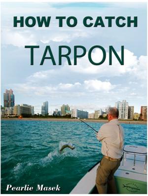 Cover of the book How To Catch Tarpon by James H. Schmitz