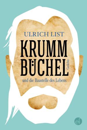 Cover of the book Krummbüchel und die Baustelle des Lebens by F.L. Fowler