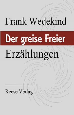 Cover of the book Der greise Freier by Carl Einstein