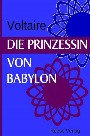 Cover of Die Prinzessin von Babylon