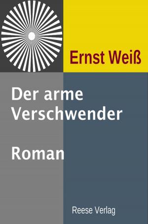 Book cover of Der arme Verschwender