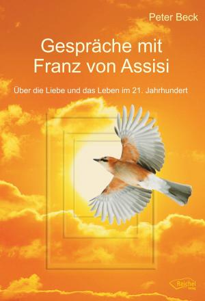 Cover of the book Gespräche mit Franz von Assisi by Lizzie Post