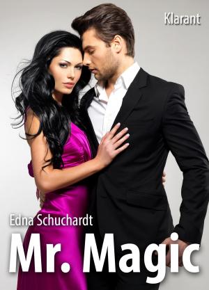 Cover of the book Mr Magic! Liebesroman by Edna Schuchardt