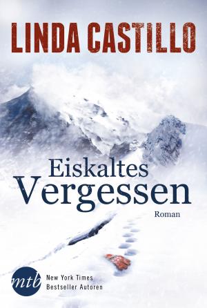 Cover of the book Eiskaltes Vergessen by Joshua Graham