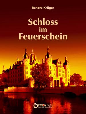 Cover of the book Das Schloss im Feuerschein by Helga Schubert