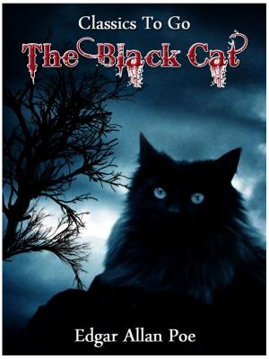 Cover of the book The Black Cat by Gustave Aimard