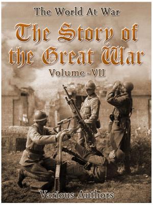 Cover of the book The Story of the Great War, Volume 7 of 8 by Franz Kafka