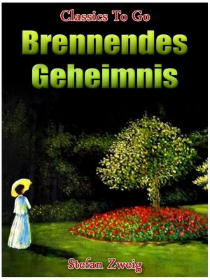 Cover of the book Brennendes Geheimnis by E.T.A. Hoffmann