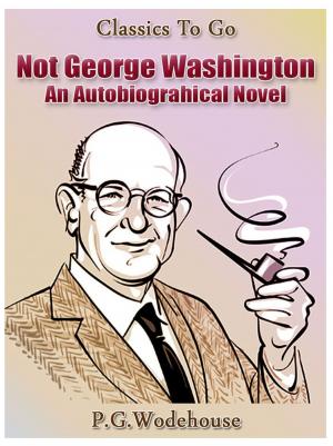 Book cover of Not George Washington — an Autobiographical Novel