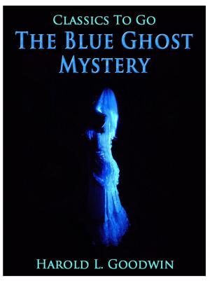 Cover of the book The Blue Ghost Mystery by Friedrich Gerstäcker