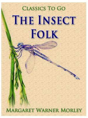 Cover of the book The Insect Folk by Gustav Freytag