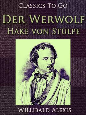 Book cover of Der Werwolf-Hake von Stülpe