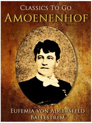 Cover of the book Amönenhof by Theodor Birt