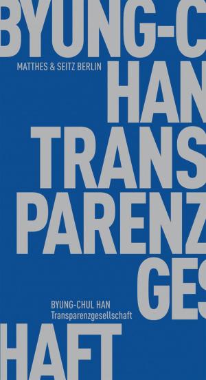 Cover of the book Transparenzgesellschaft by Peter Trawny