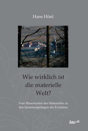 Cover of the book Wie wirklich ist die materielle Welt? by Heike Dr. Cillwik