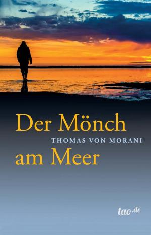 Cover of the book Der Mönch am Meer by Ulrich Nitzschke