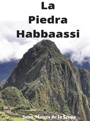 Cover of the book La Piedra Habbaassi by Angela Planert