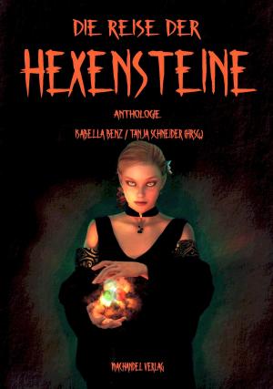 Book cover of Die Reise der Hexensteine