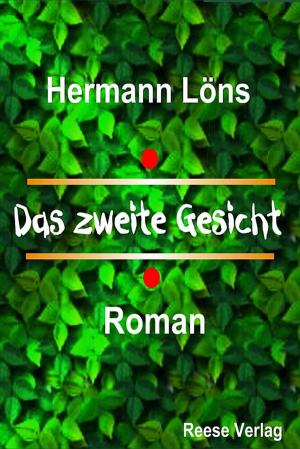 Cover of the book Das zweite Gesicht by Lewis J. Beilman III