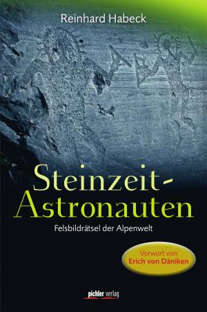 Book cover of Steinzeit-Astronauten