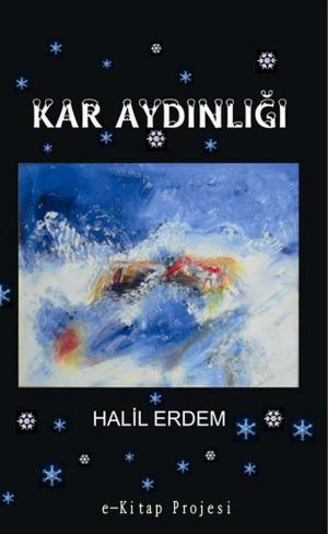 Cover of the book Kar Aydınlığı by Stephanie Dagg