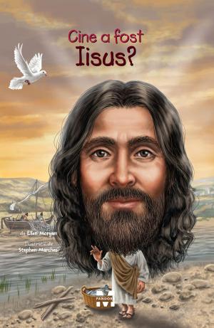 Cover of the book Cine a fost Iisus? by Barbara J. Waldern
